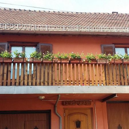 Gite Du Vigneron Mittelwihr Kültér fotó