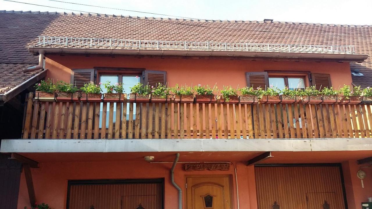 Gite Du Vigneron Mittelwihr Kültér fotó